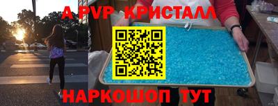 тгк Кингисепп
