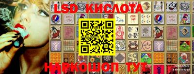 тгк Кингисепп