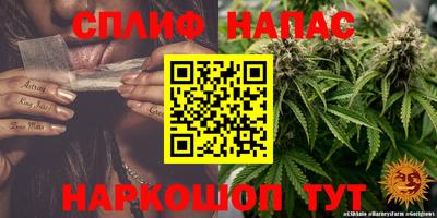 тгк Кингисепп