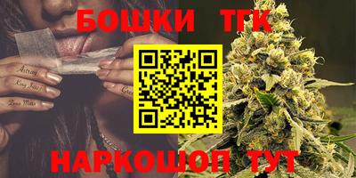 тгк Кингисепп