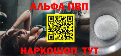 тгк Кингисепп