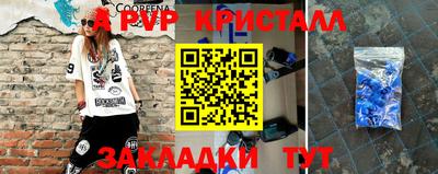 тгк Кингисепп