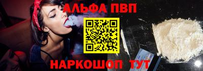 тгк Кингисепп